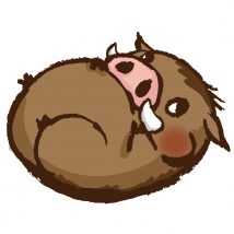 子豚さん